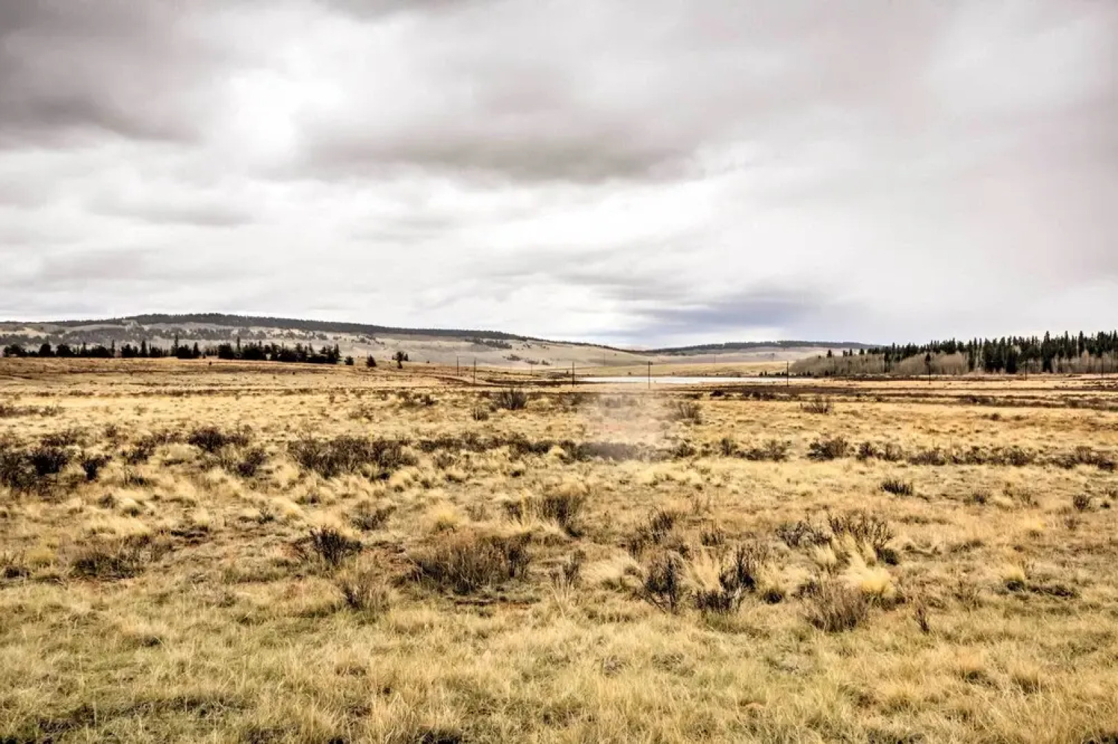 Private Fairplay Home w/ Fishing Pond & Mtn Views!