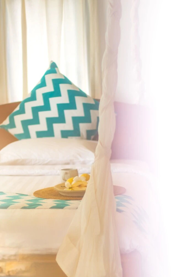 Hollow Tree's Resort