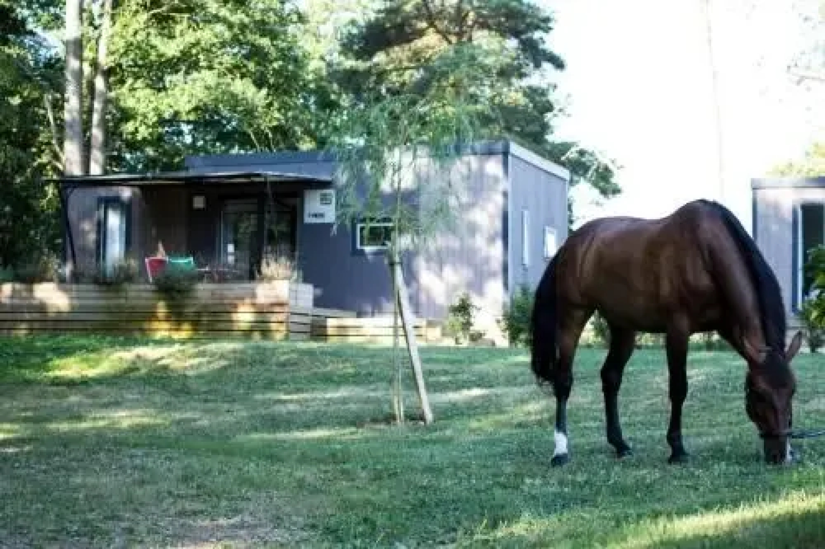 Pole Européen du Cheval