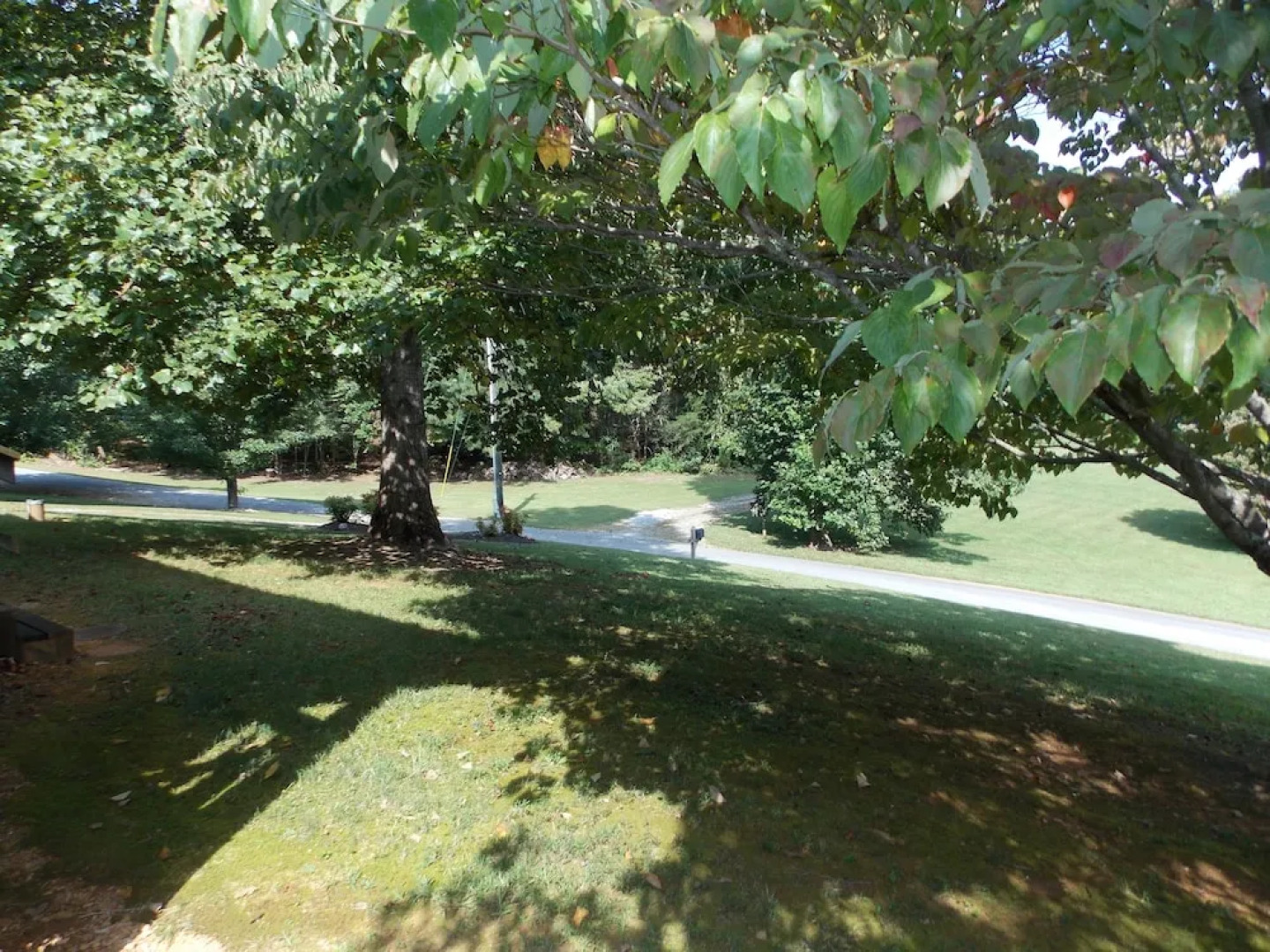 Windy Ridge by RedAwning