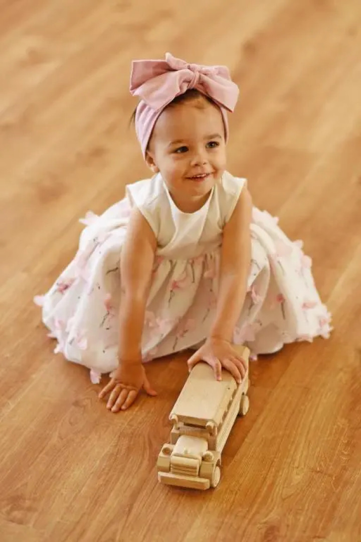 Pałac w Pakosławiu