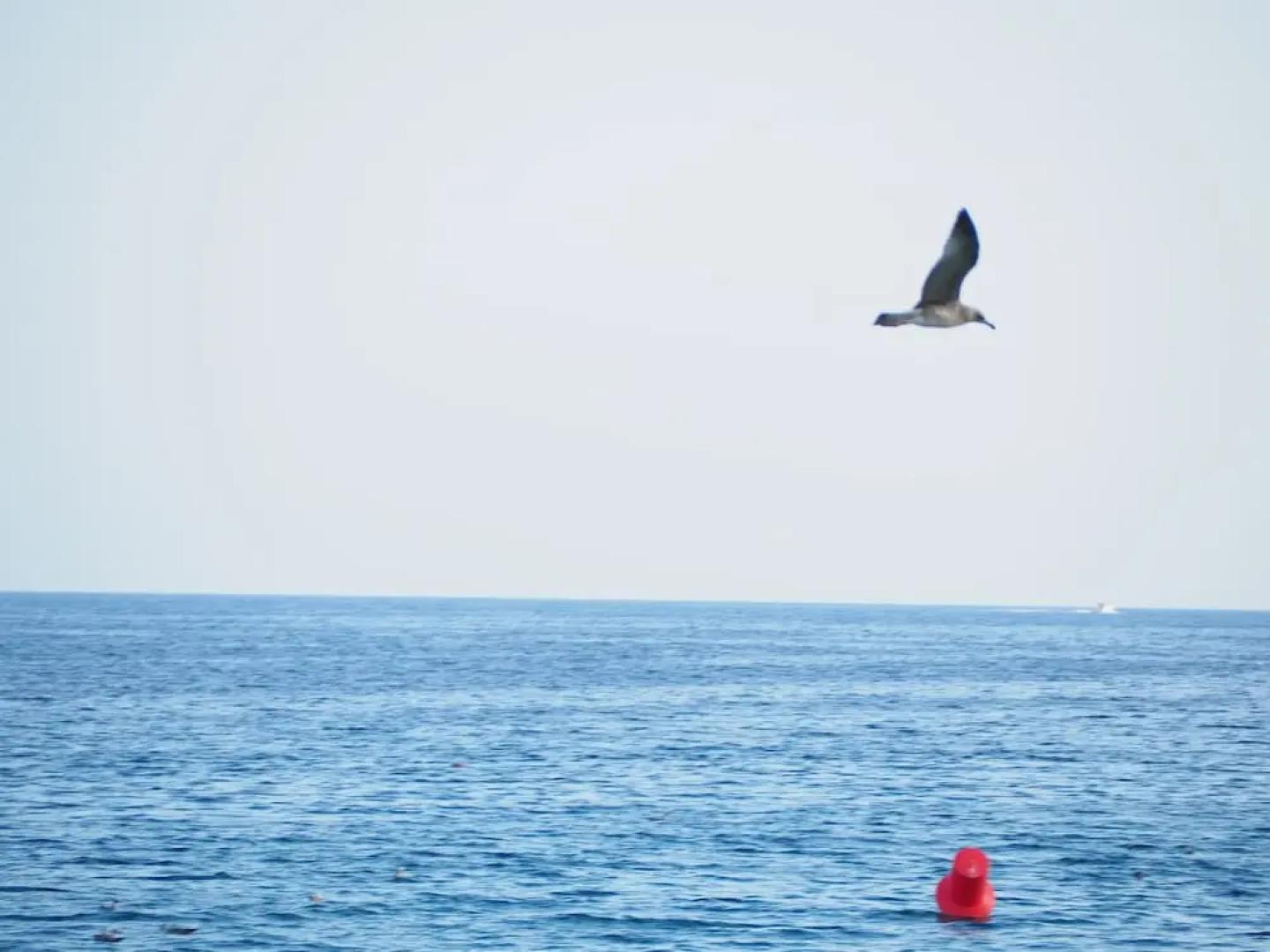 House in Palamós for 9 people