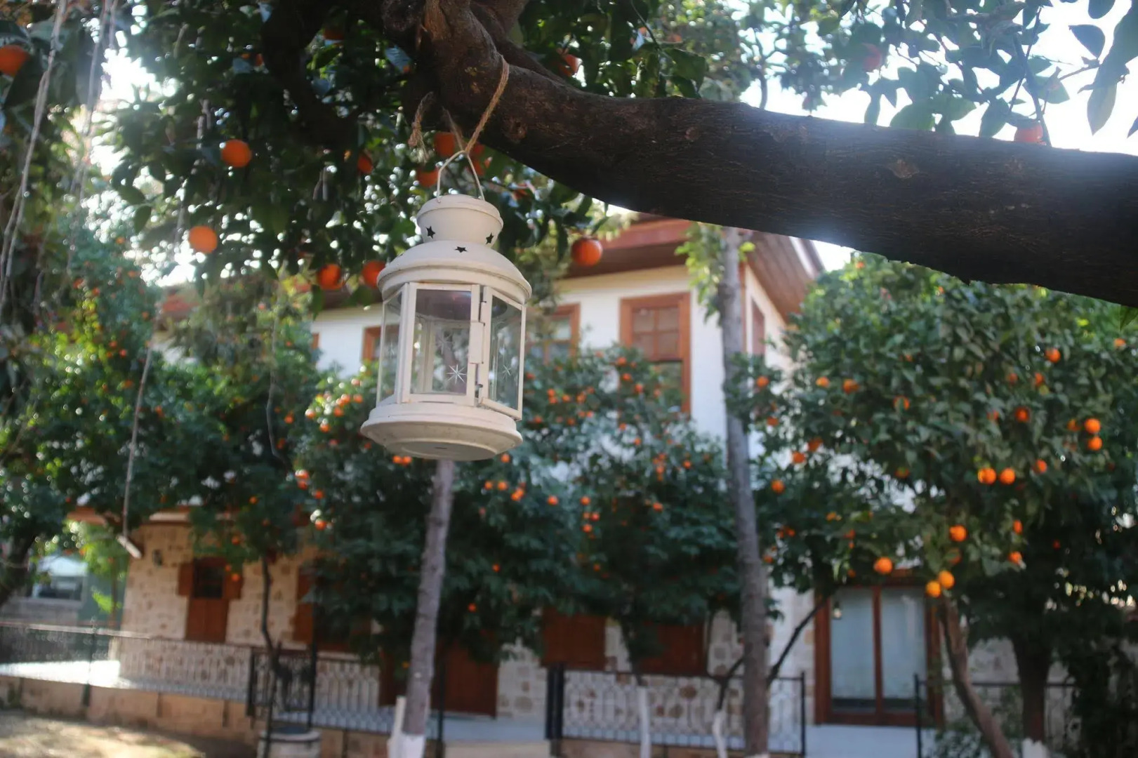 Citrus Garden Hotel