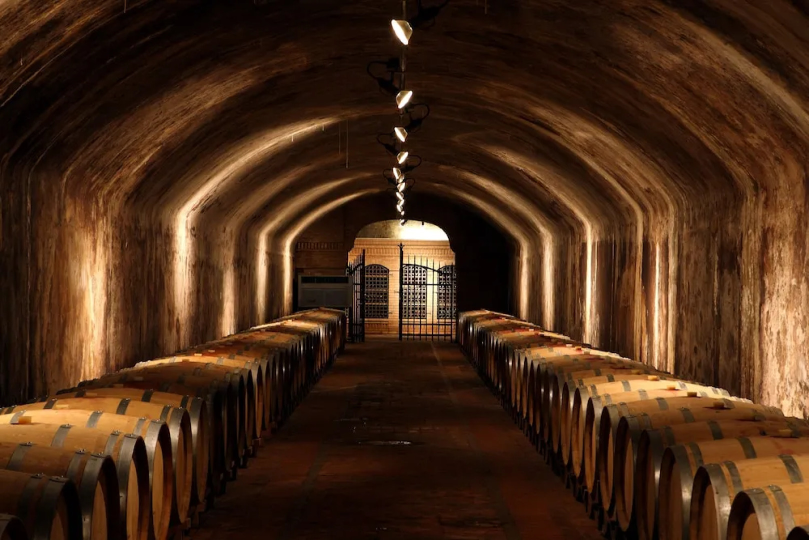 Appartamenti nelle Vigne