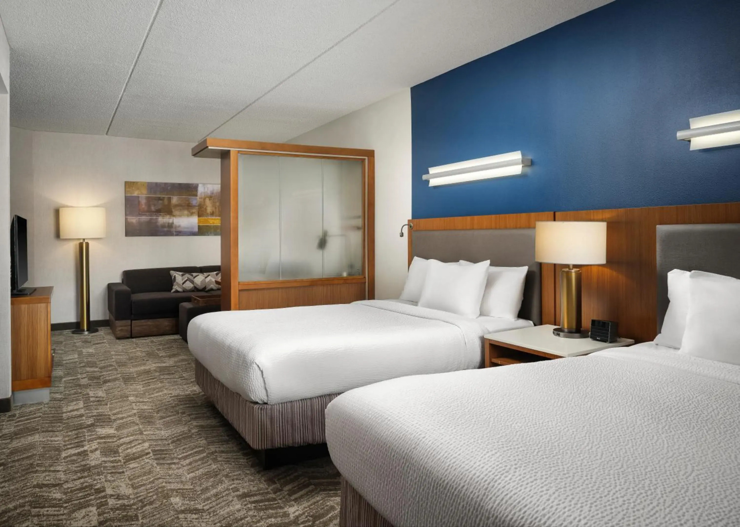 Springhill Suites by Marriott Pittsburgh Mt. Lebanon