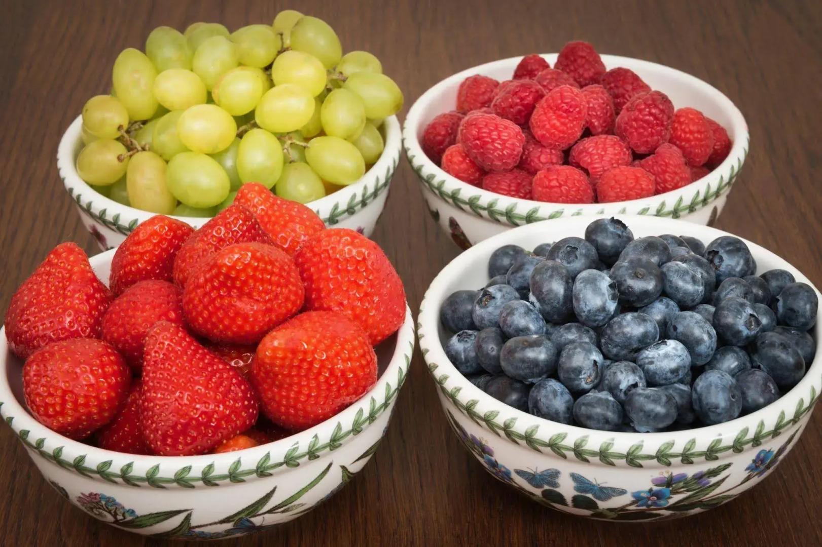 Ammonite Lodge Guest House