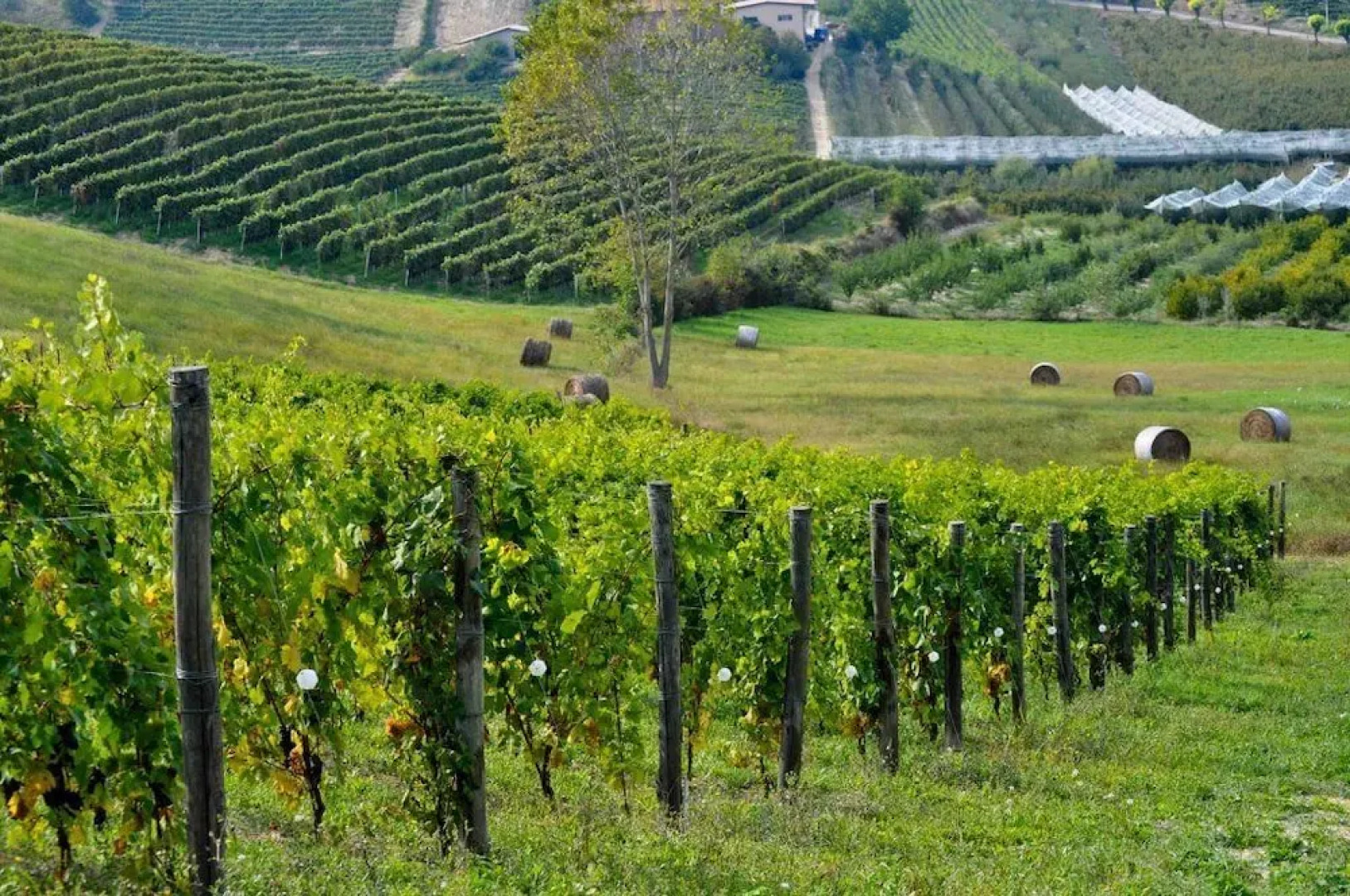 Agriturismo Cera Una Volta