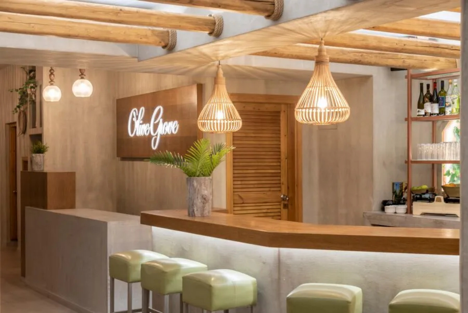 Olive Grove Apartments