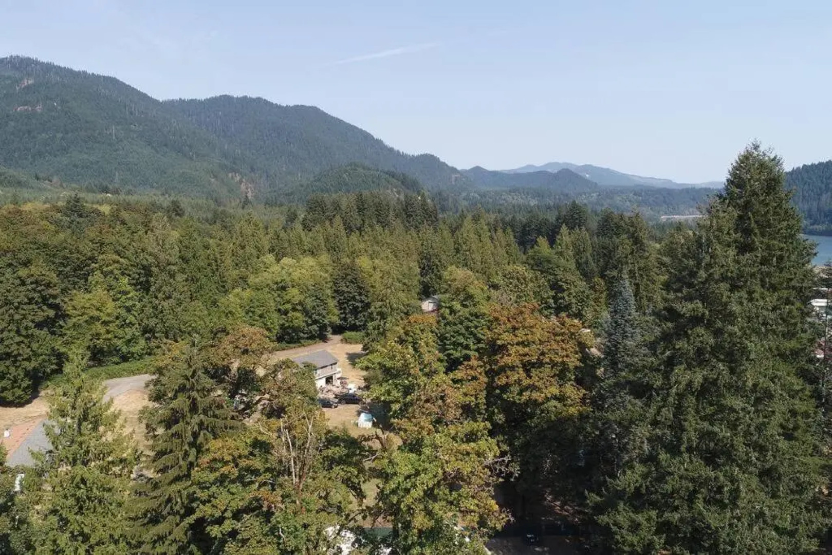 Cougars Cute Crooked Cabin