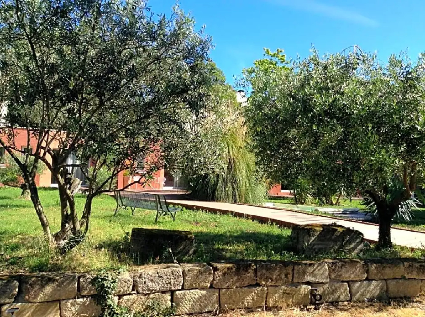 De la suite dans les oliviers