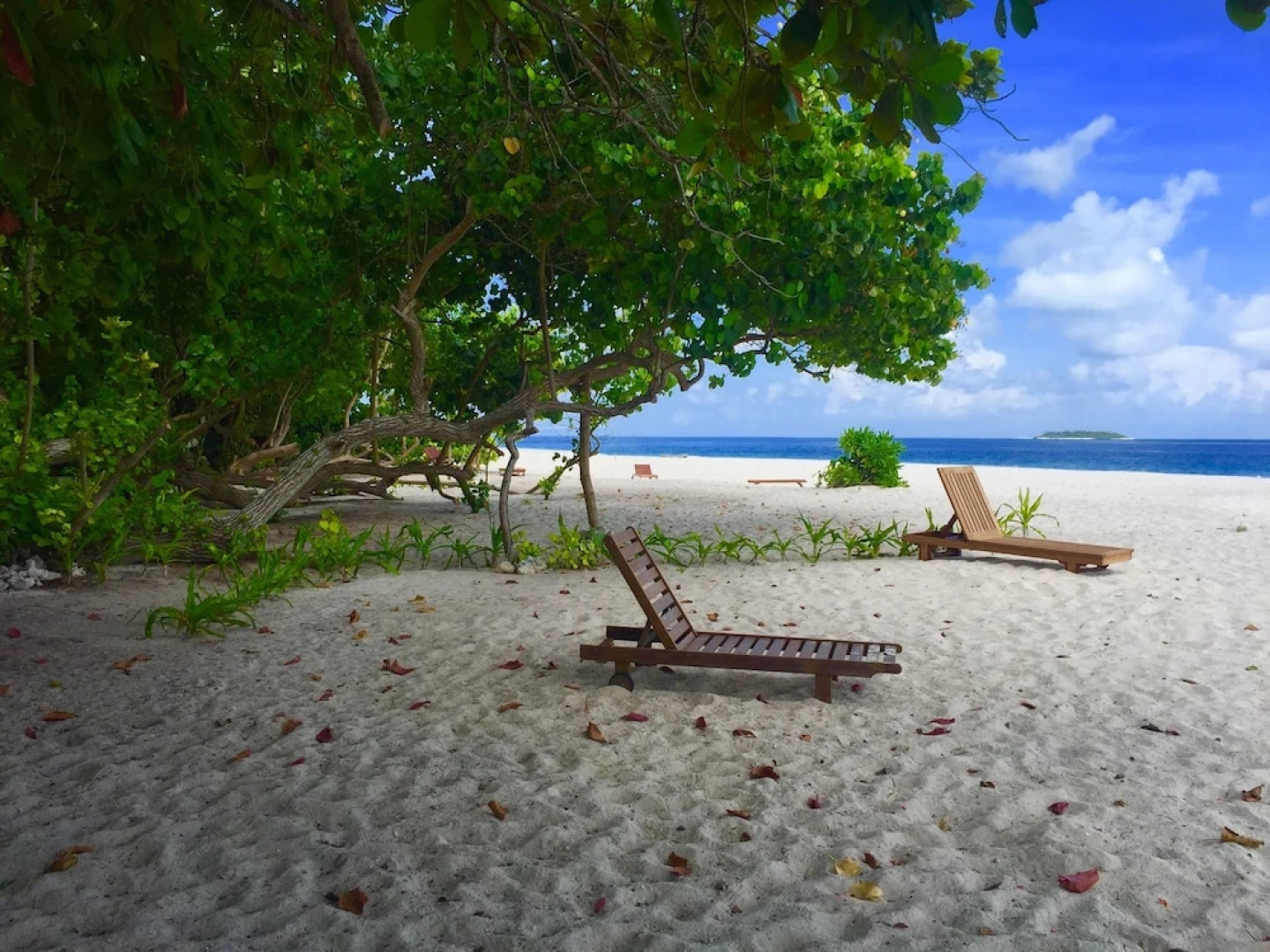 Отель Ithaa Inn Kamadhoo