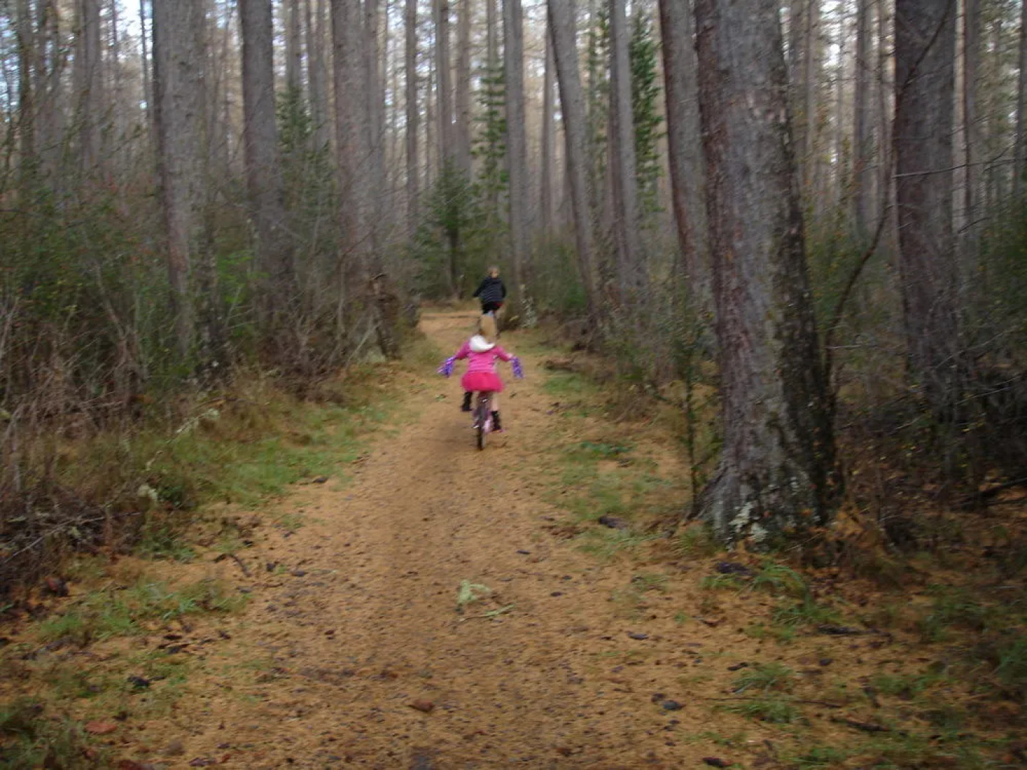 Alpine Holiday Apartments & Campground