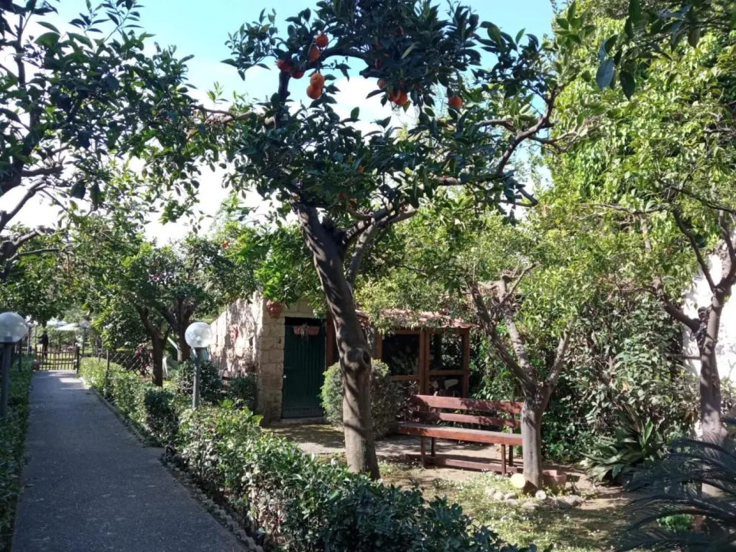 Residenza Caserta Sud - Appartamento con giardino