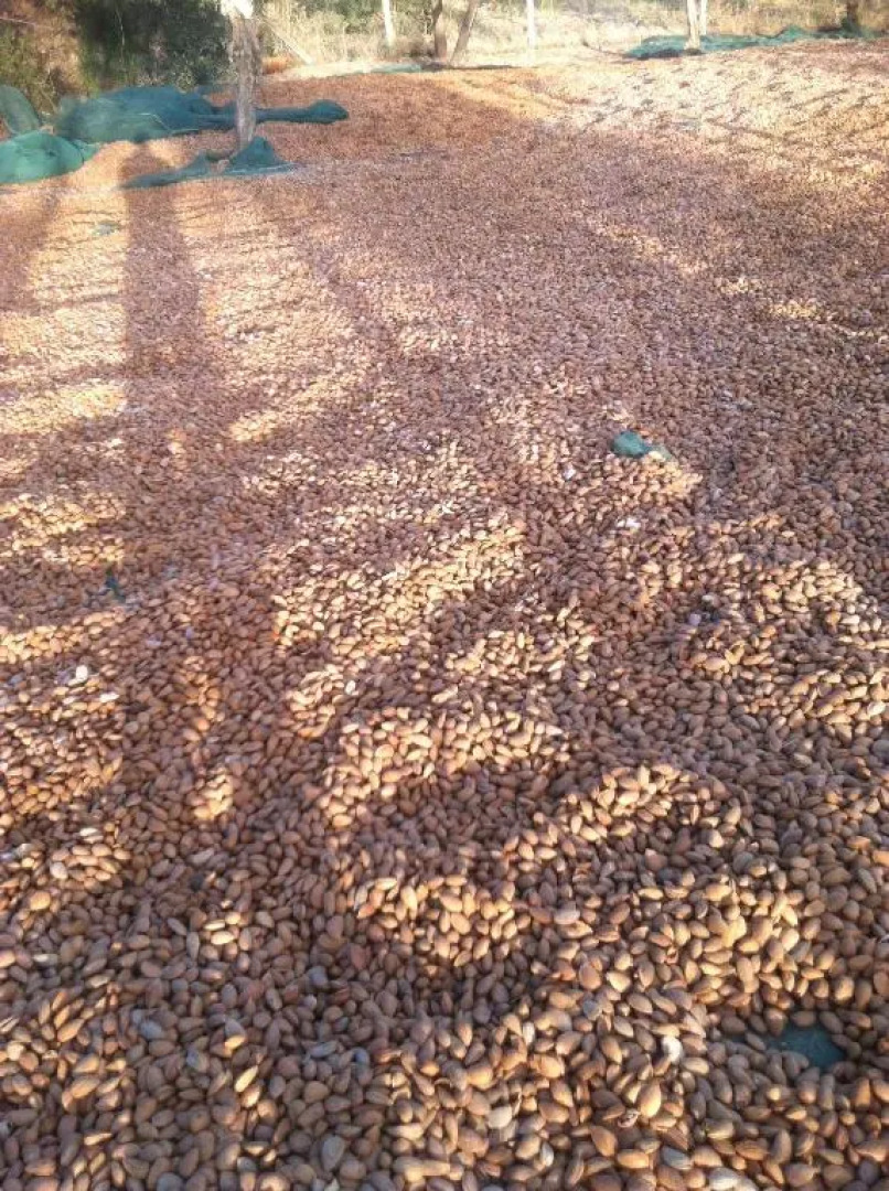 Quintas do Valbom e Cuco