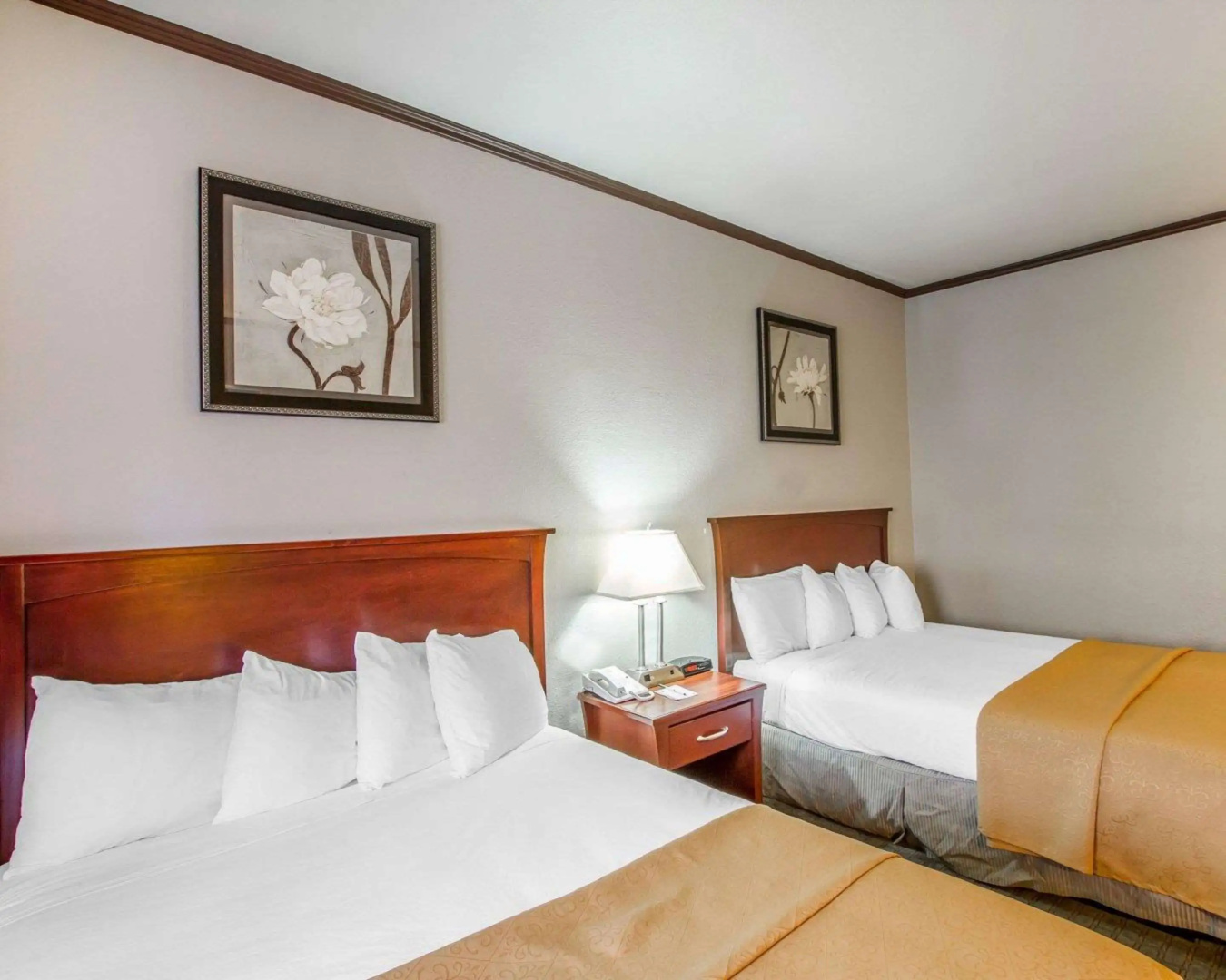 Quality Inn Chandler I-10