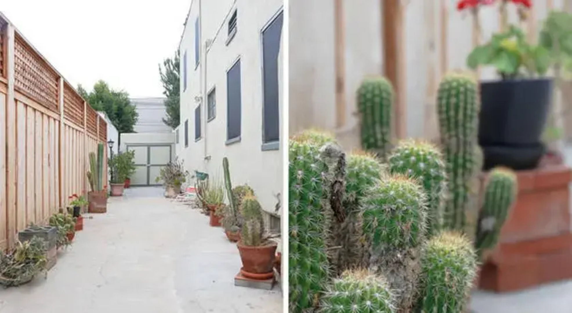 San Diego Solar Powered Spanish Charmer