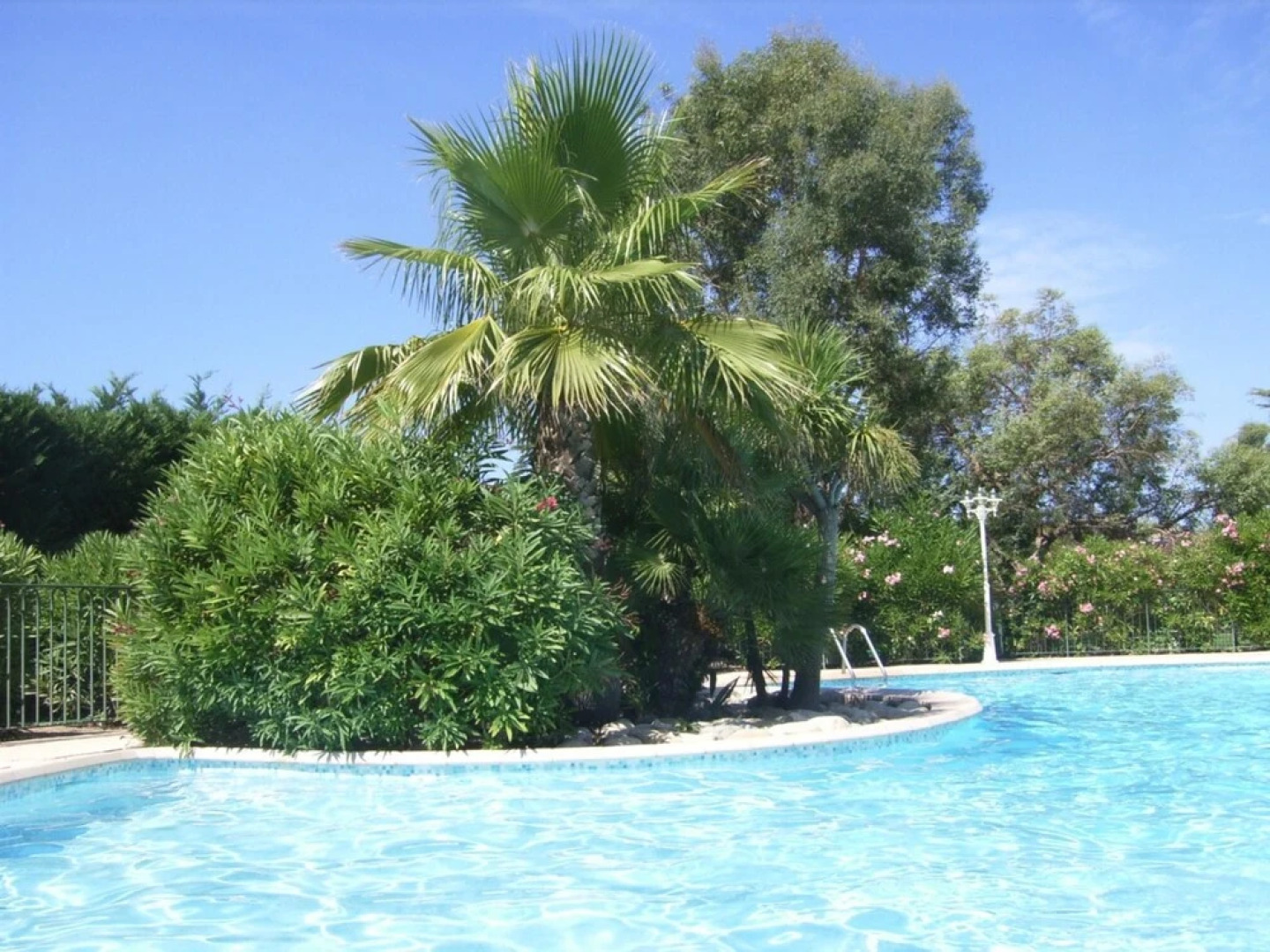 Apartment With one Bedroom in Carqueiranne, With Pool Access, Enclosed