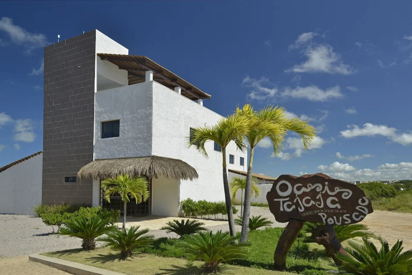 Oasis Tajaja