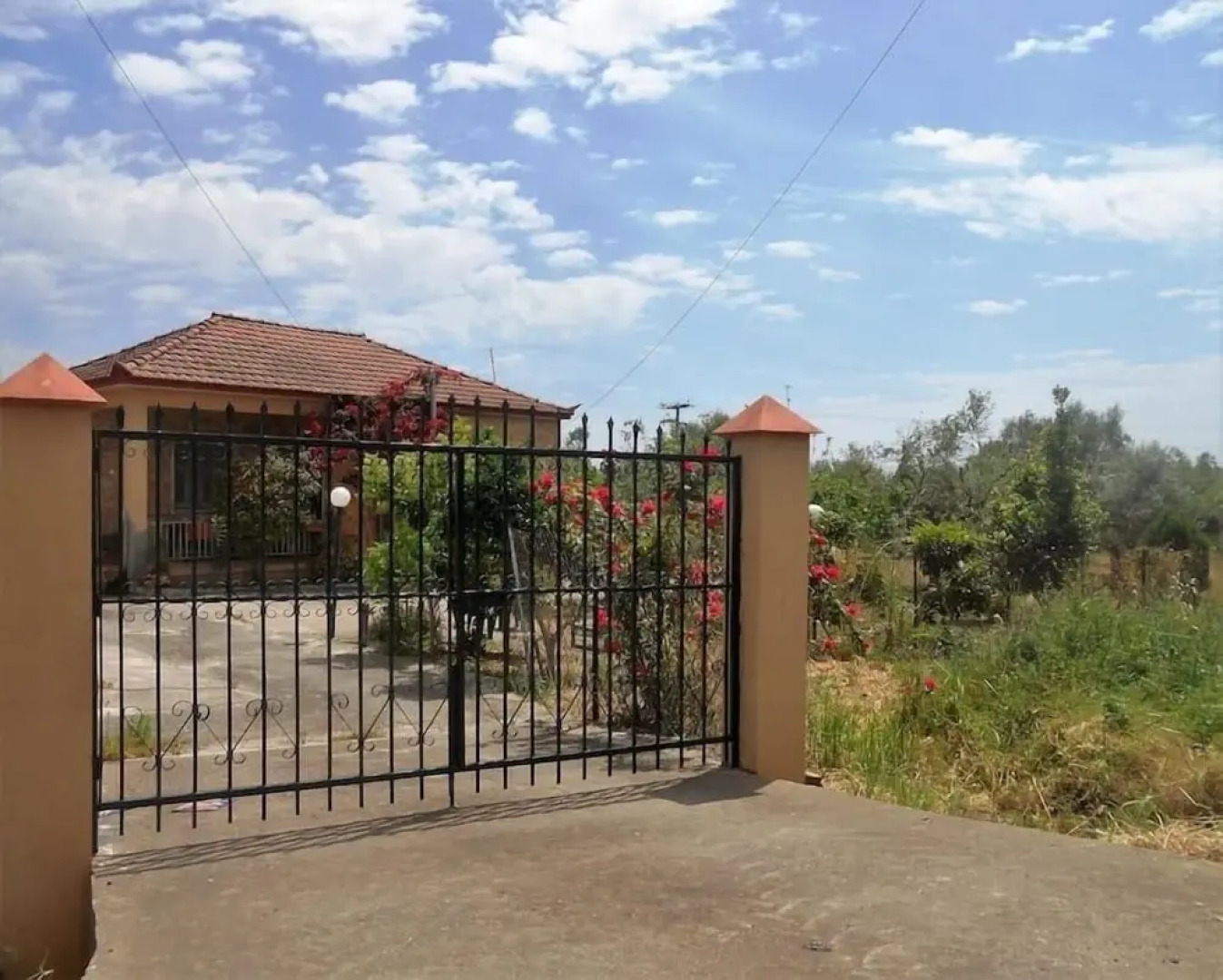 Experience and relaxing near to Ancient Messene