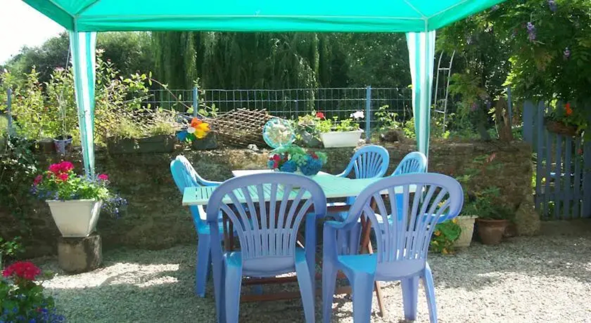 Le Chat Bleu Chambres dHotes B&B