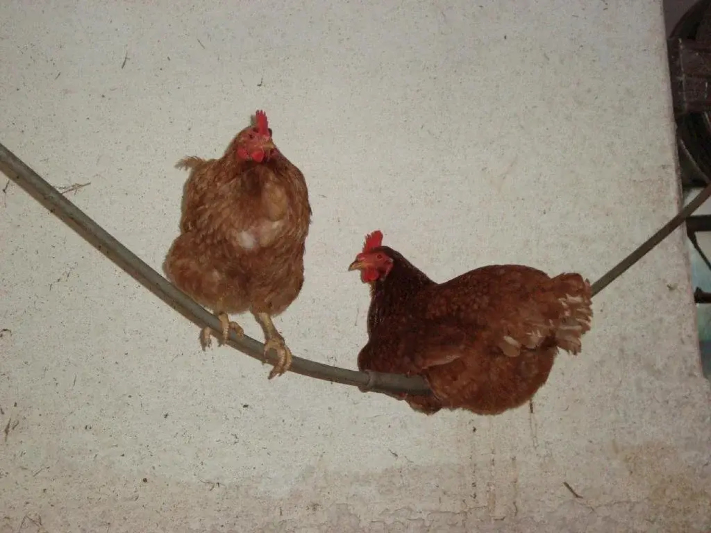 Bauernhof Lenzenbauer