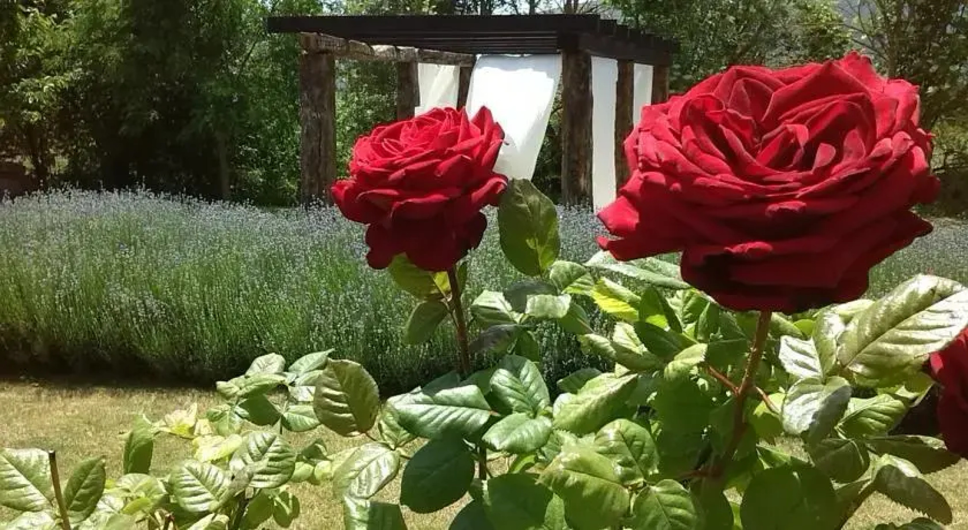 Merindades La Gobernanta