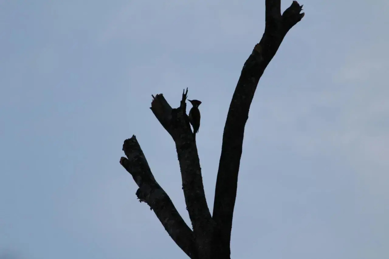 Guddadamane Homestay