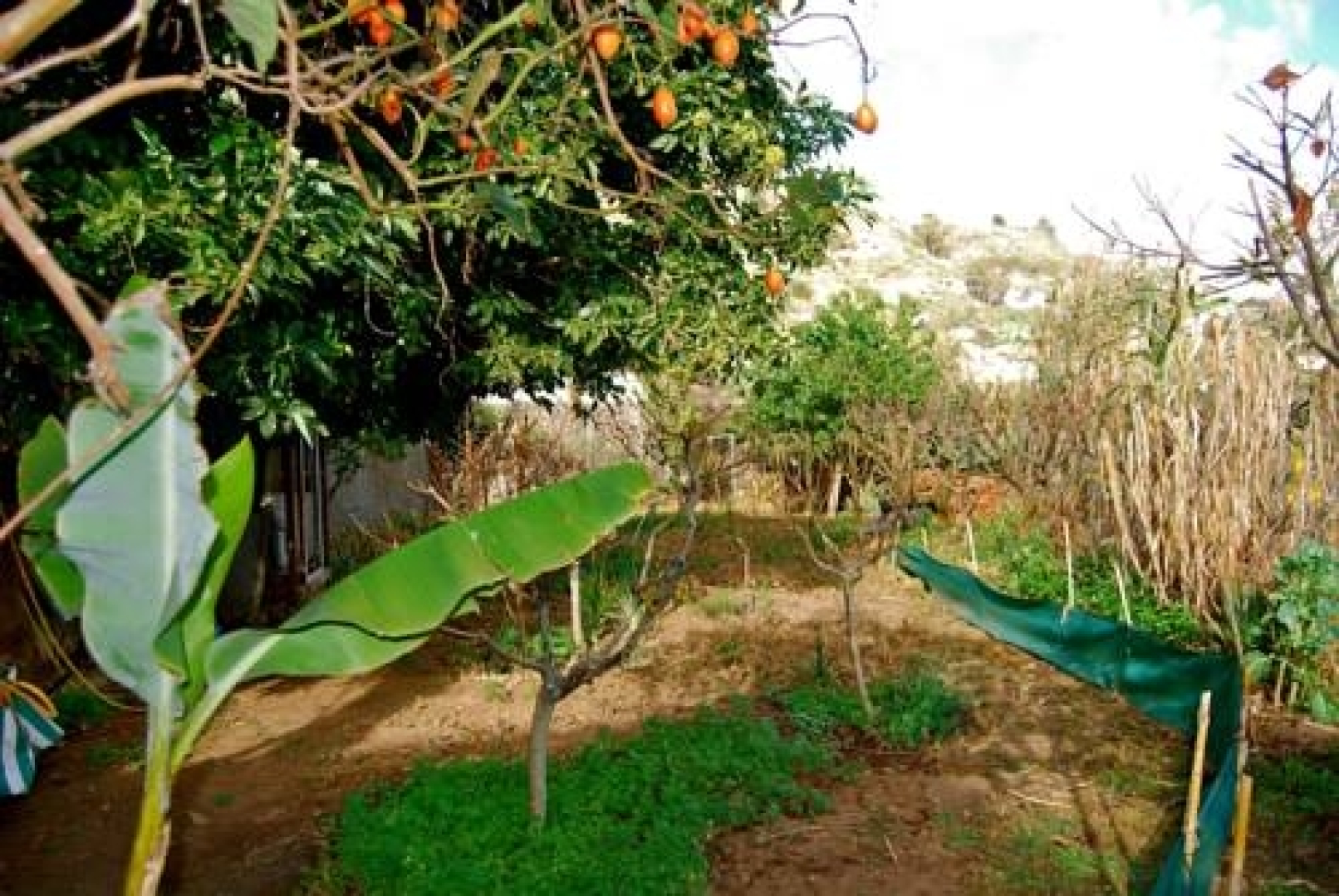 Casa Rural de Tío Félix
