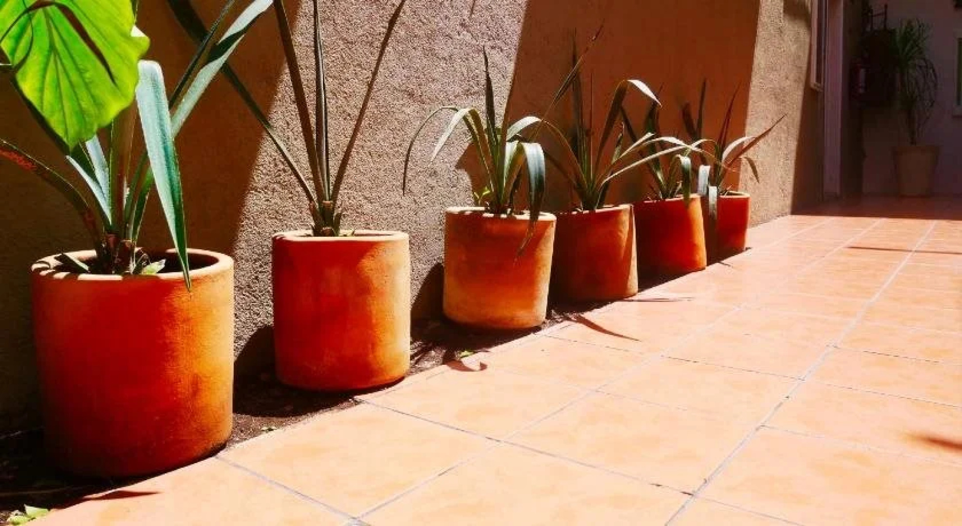 Casa de las Conservas Gold