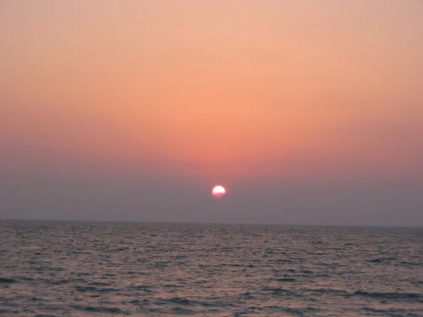 Parkdale Home by Vtrips