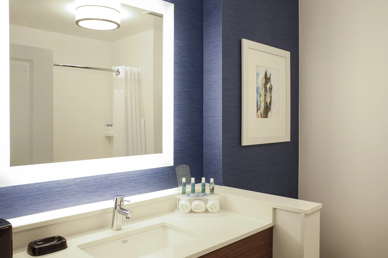 Holiday Inn Express & Suites Louisville Downtown by IHG