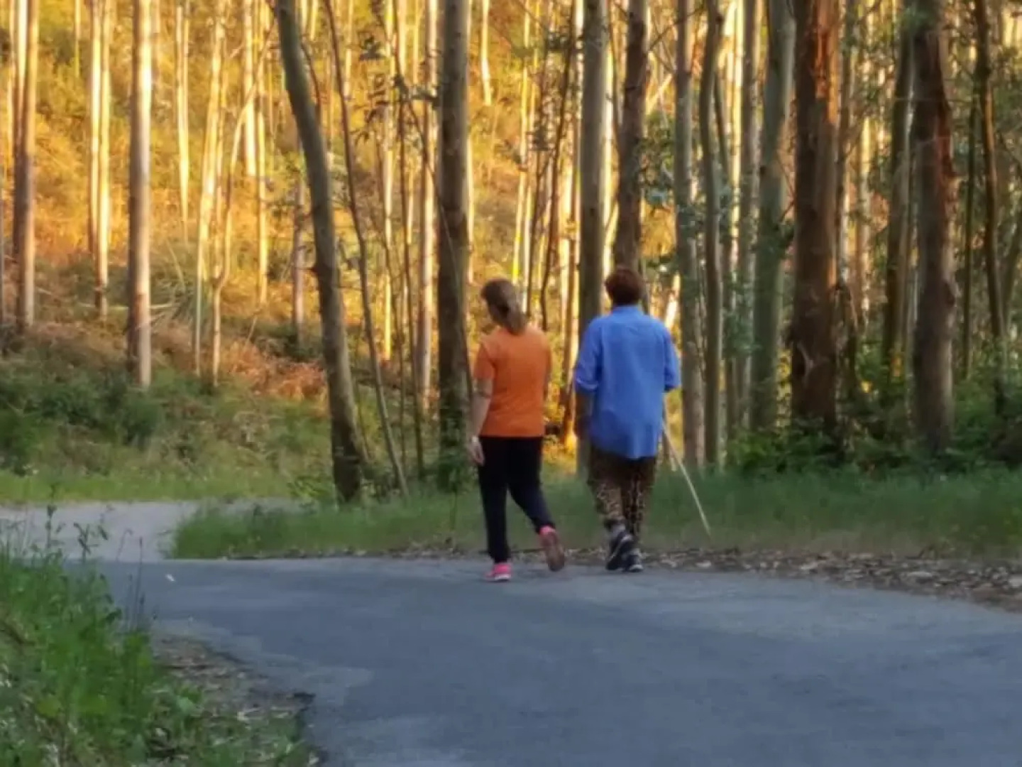 Casa Rural la Pradería