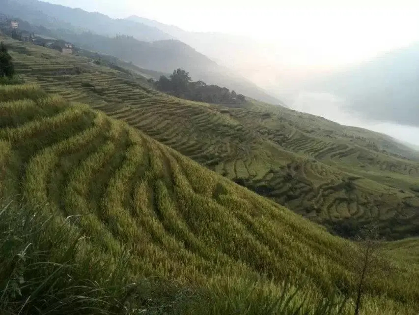 Yuanxiang Yayuan Inn