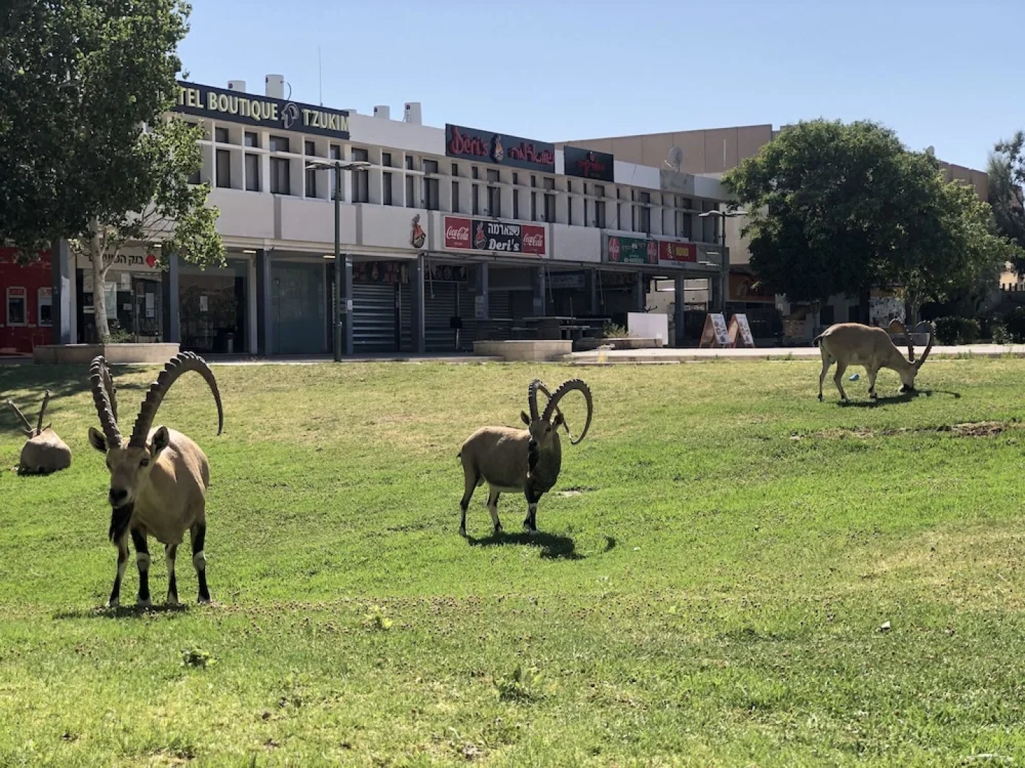 Boutique Hotel by Tzukim