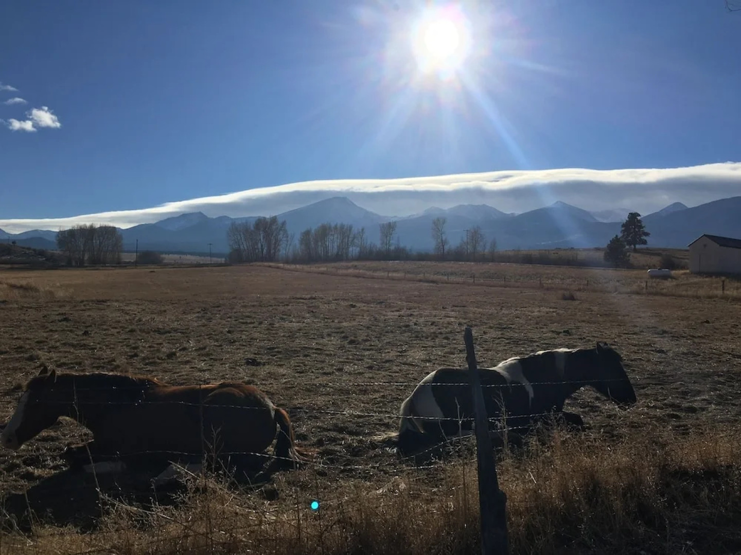 Hillside Colorado Cottages near Westcliffe