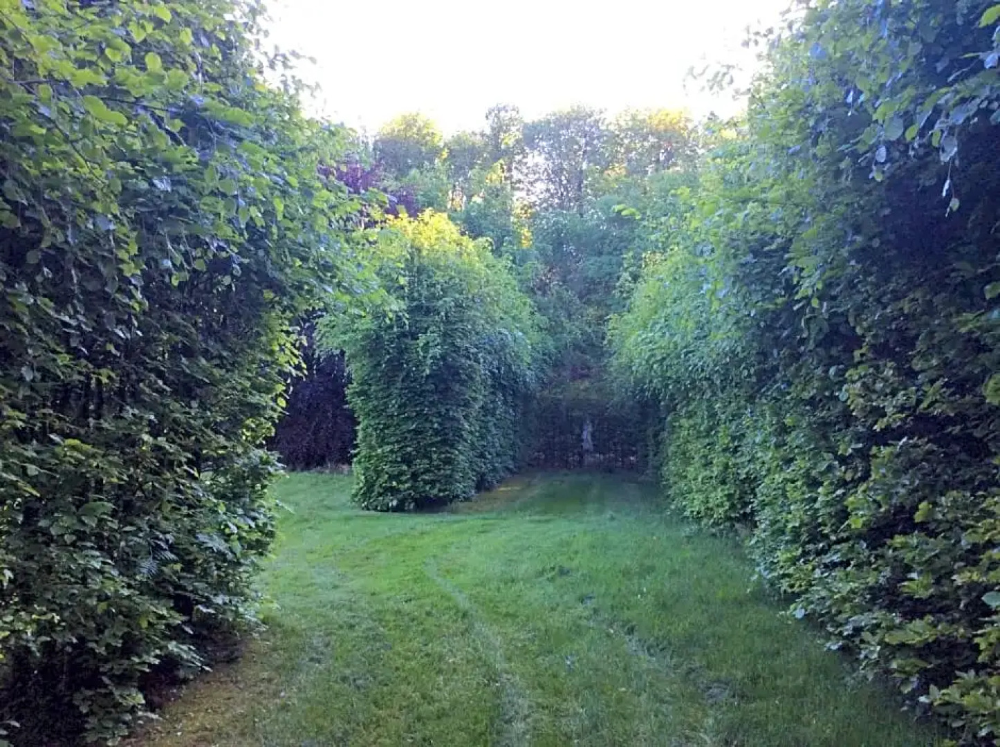 Villa Laurelin, Lothorien