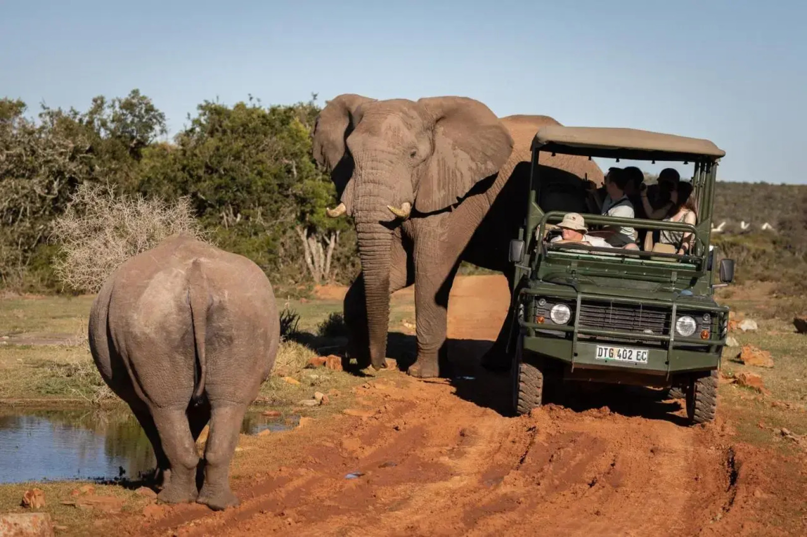 Pumba Private Game Reserve