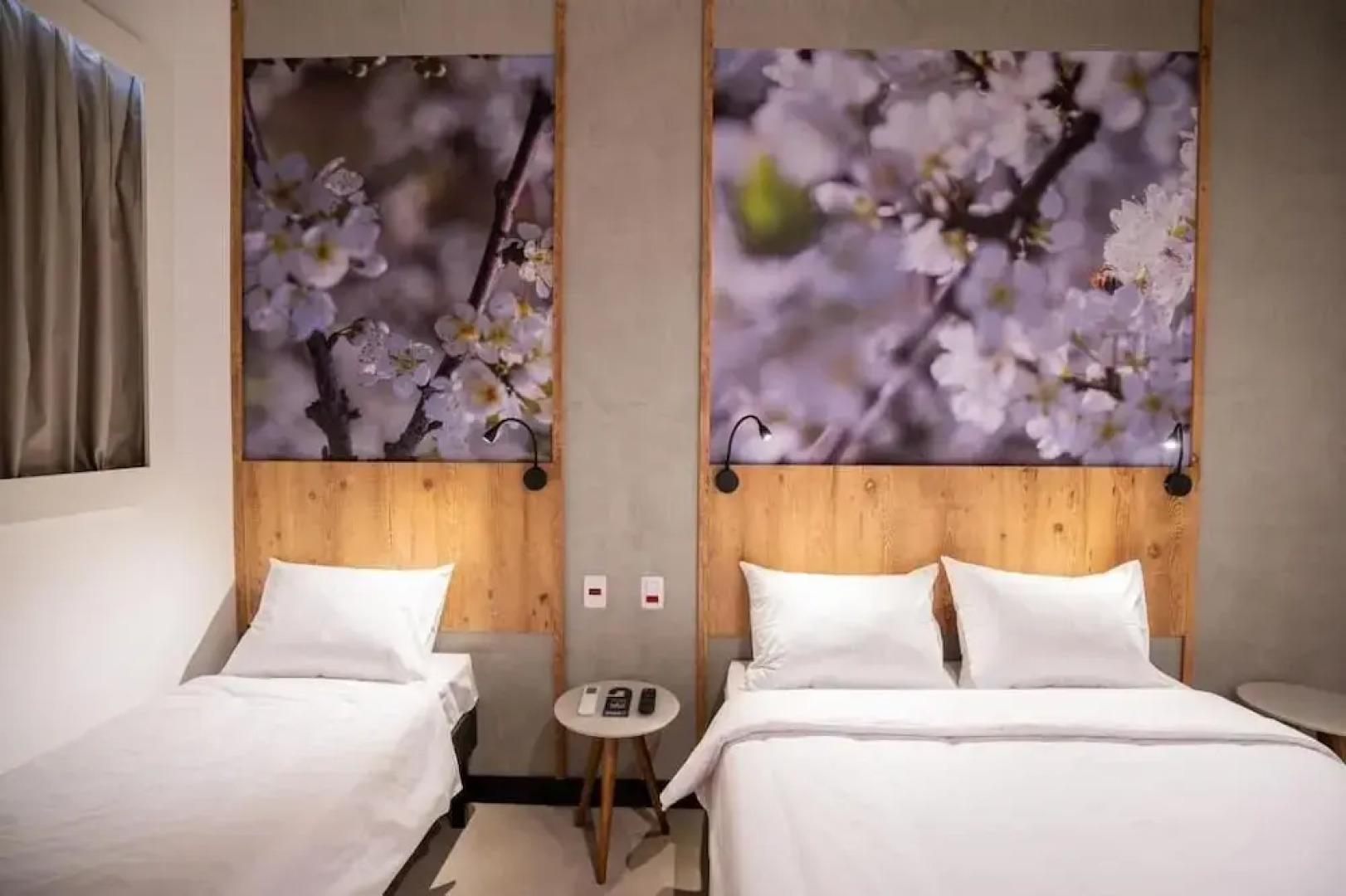 Campos De Holambra Inn