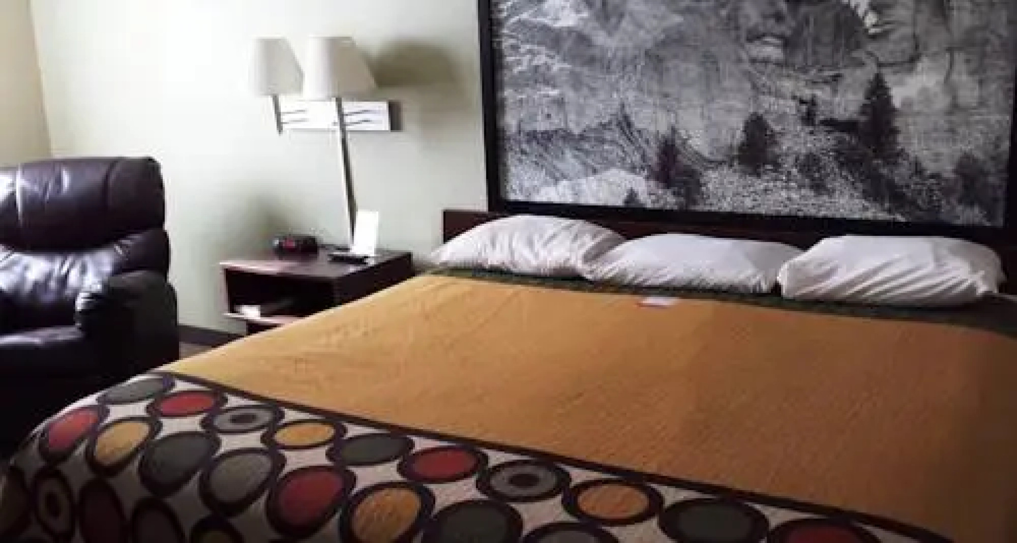 Super 8 Russell Street/Convention Center