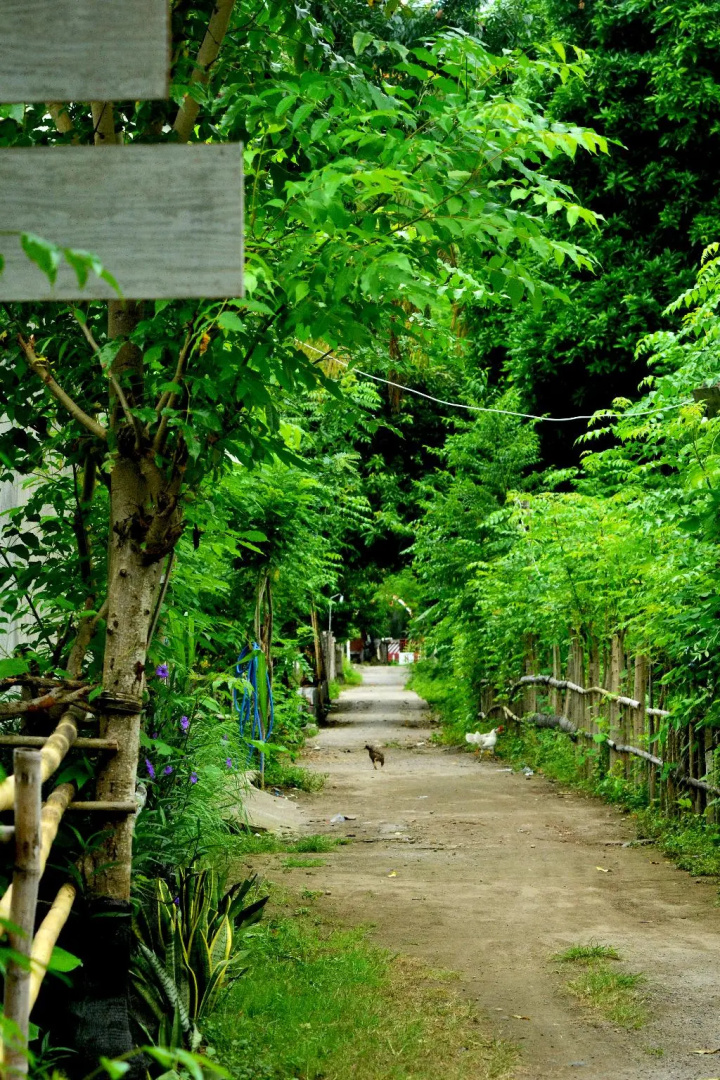 Sammy Cottage Senggigi