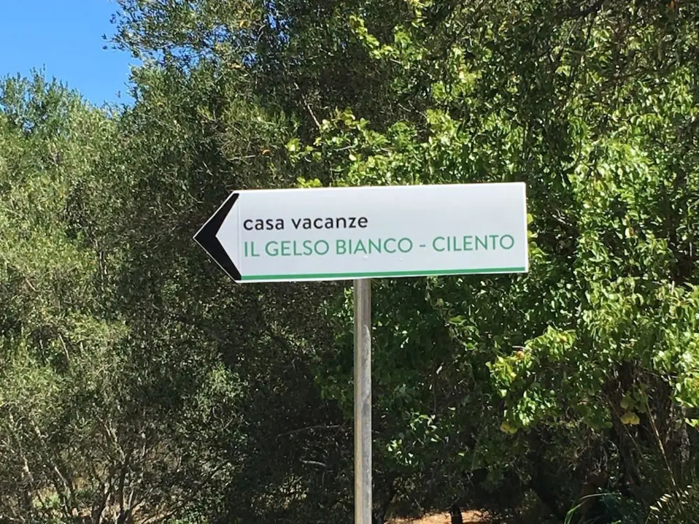 Il Gelso Bianco - Cilento
