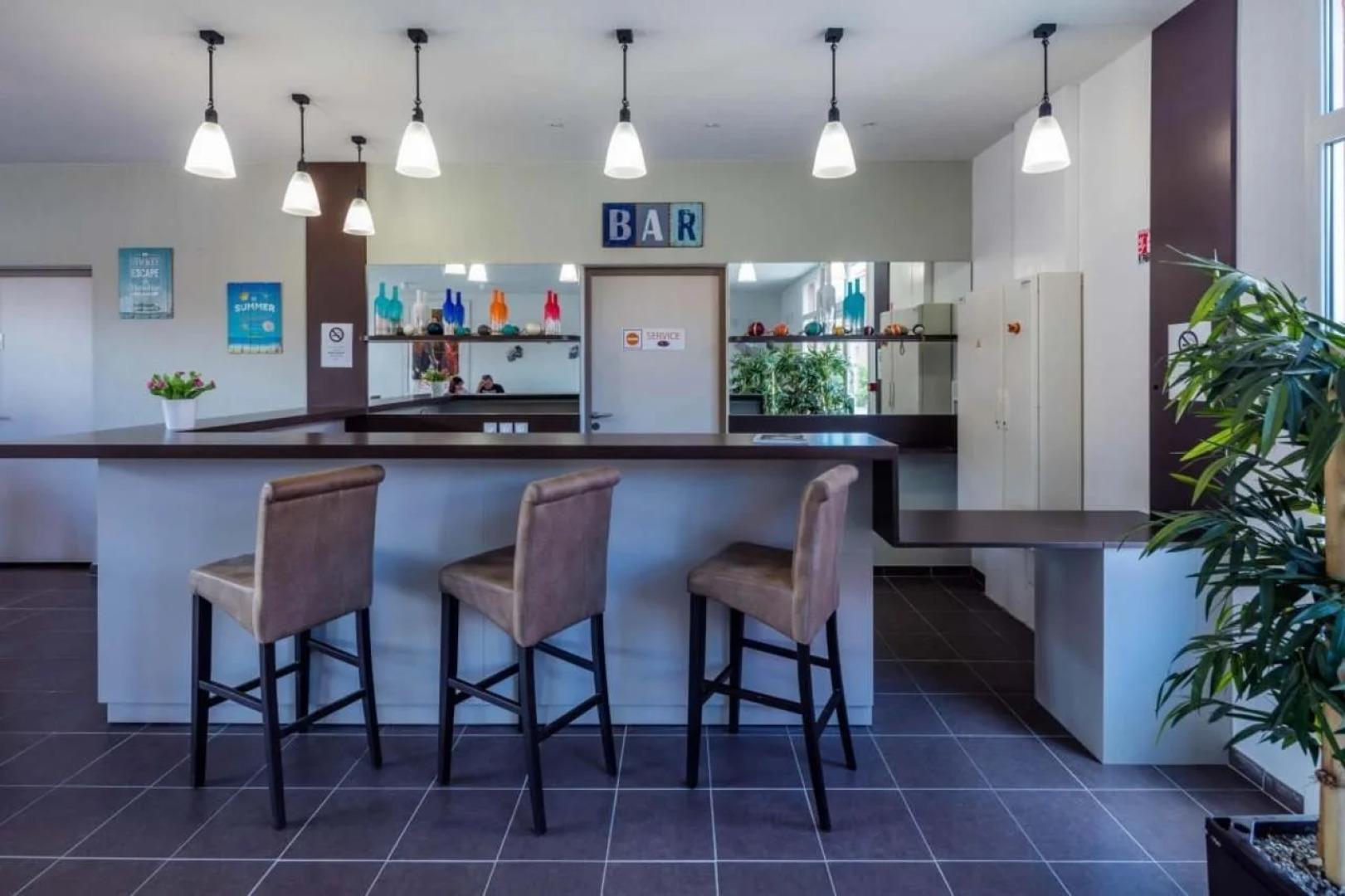 Terres de France - Le Domaine de Bacchus