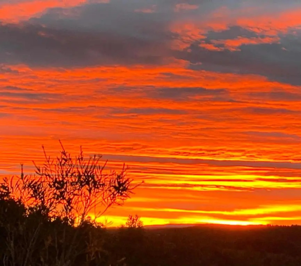 Callemondah Studio with stunning views, Bangalow Byron Hinterland