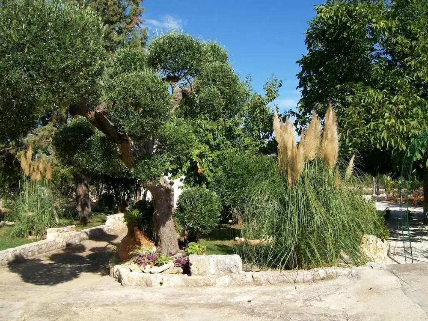 Agriturismo I Trulli di Zio Dino