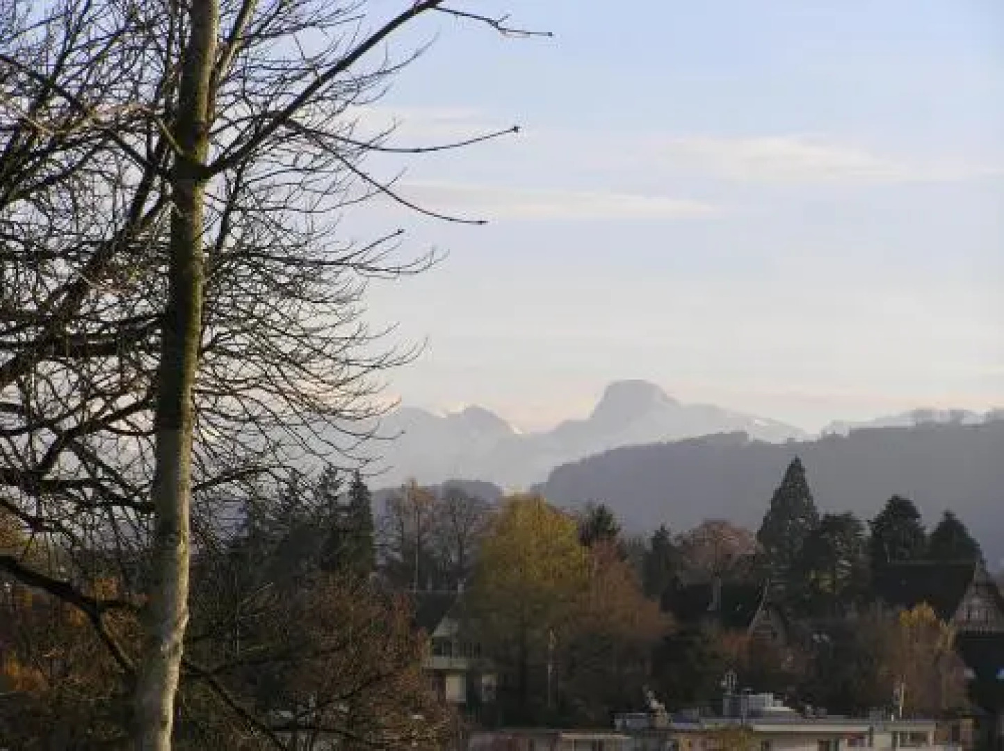 Calm Family Apartment