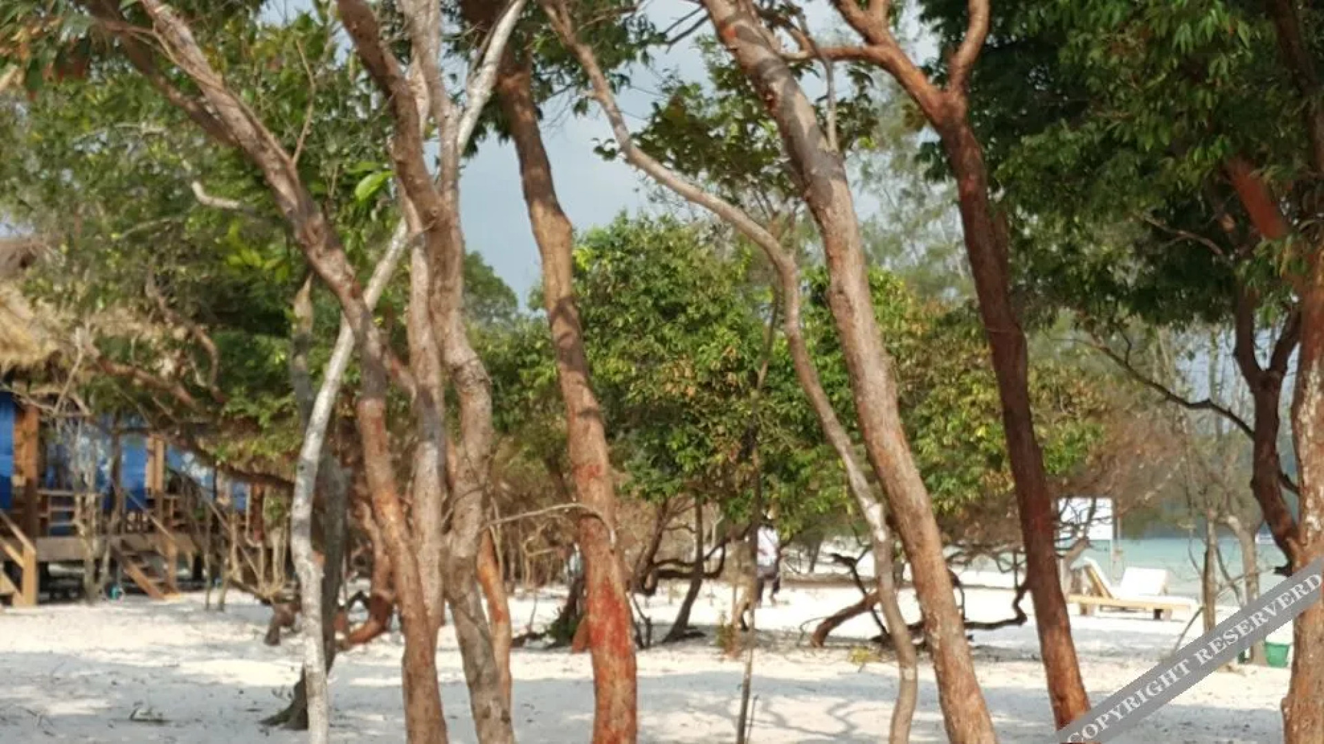 Natural Island Bungalows