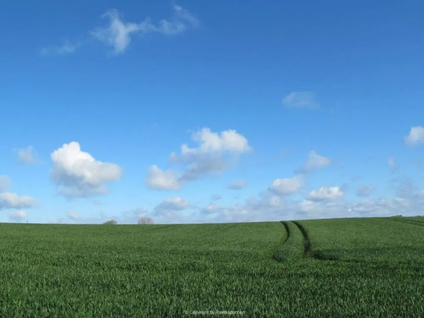 Liefde Voor de Schlei