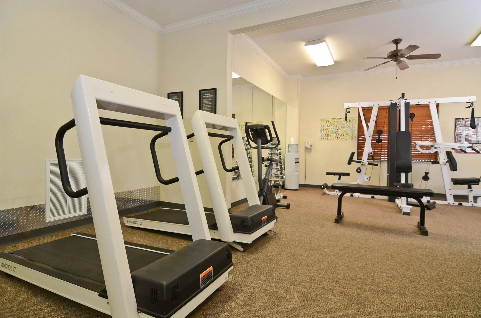 Best Western Dinosaur Valley Inn & Suites