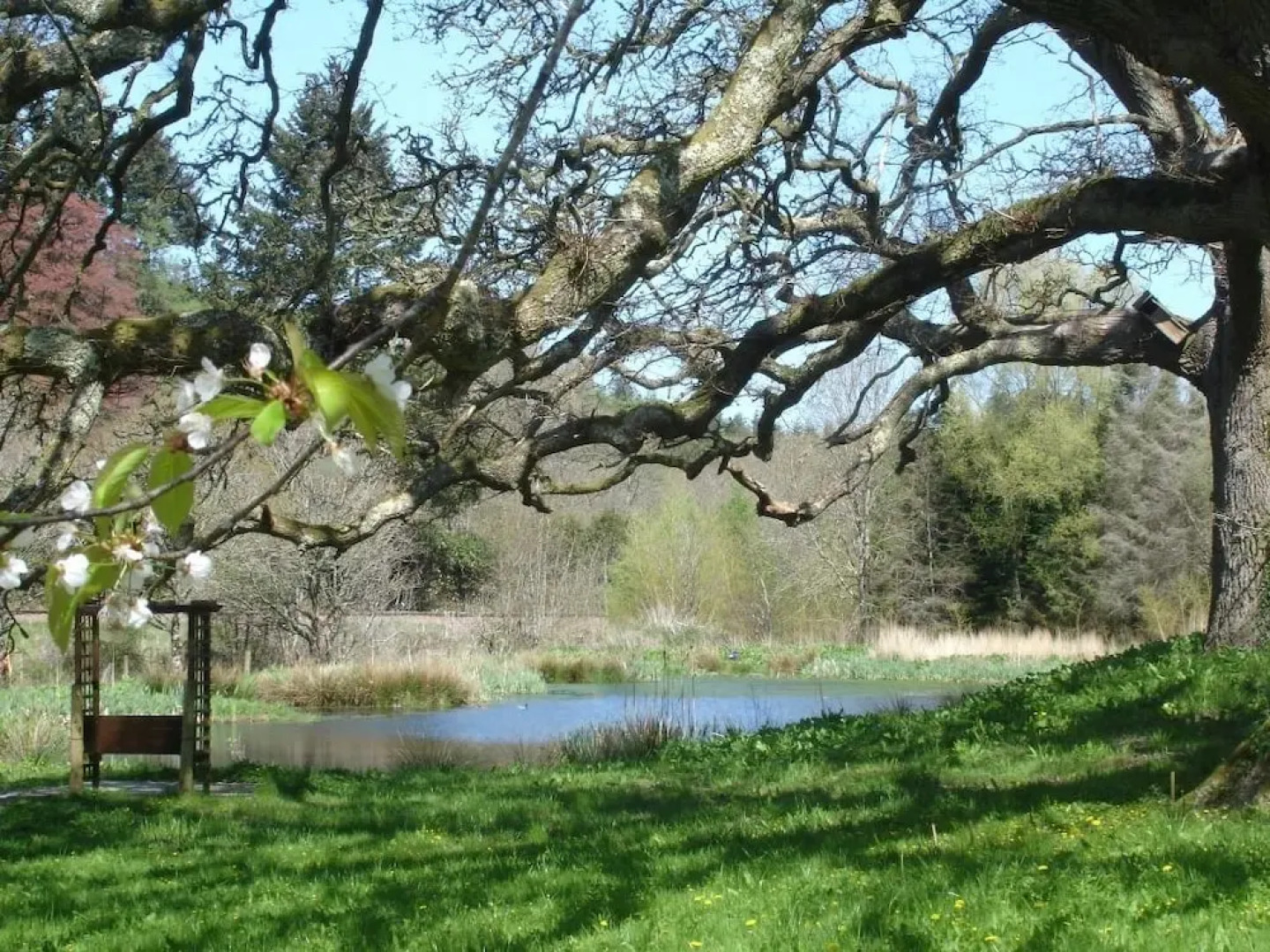 Fox & Hounds Country Hotel