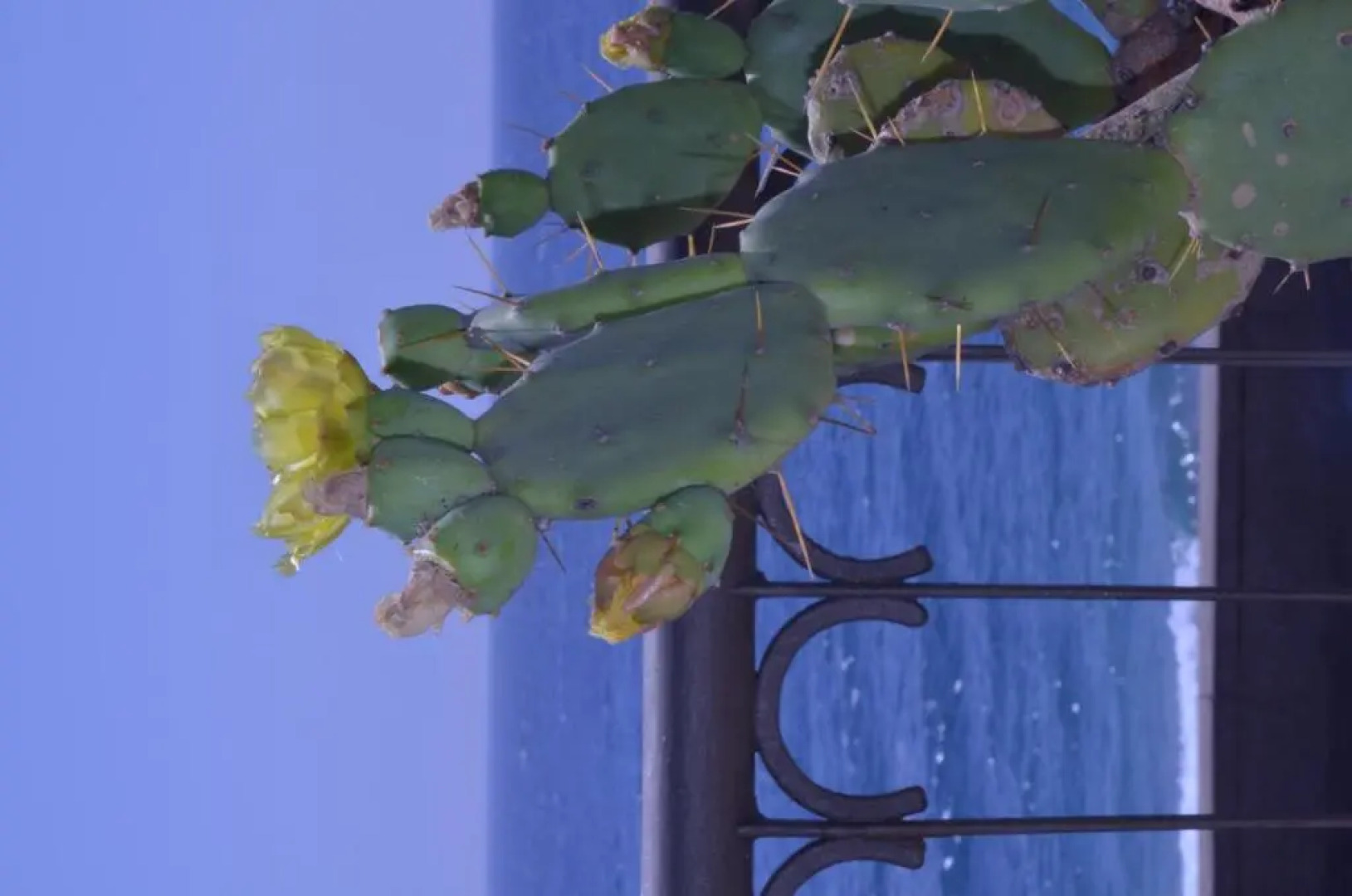 Casa di Mare Barabba